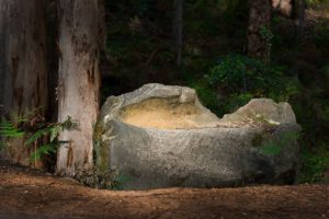 Boranup Forest, Western Australia, Natural rock