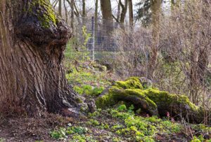 Goettingen, Germany