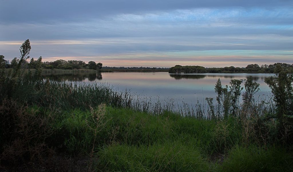 Herdsman Lake, Perth, Western Australia, Early morning