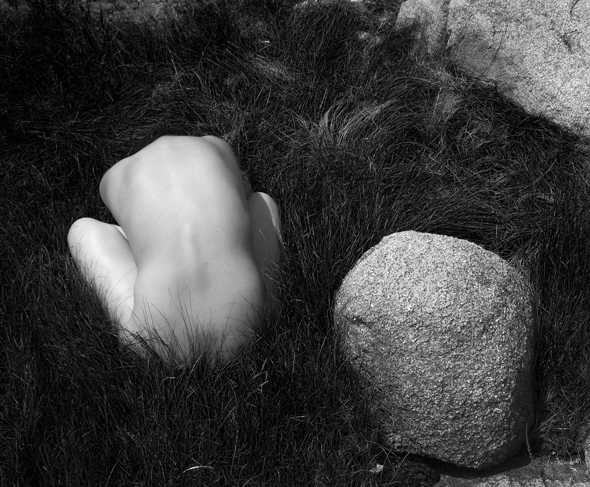 Natural project, example image