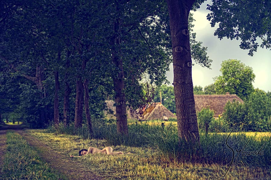 Natural project, example image