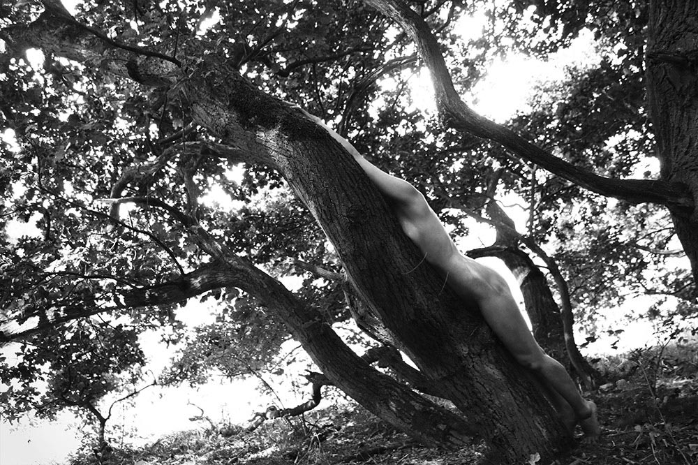 Natural project, example image