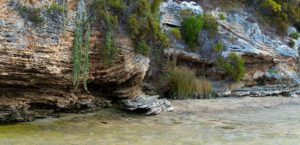Estuary, Denmark, Western Australia, panorama