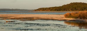 Estuary, Denmark, Western Australia, panorama