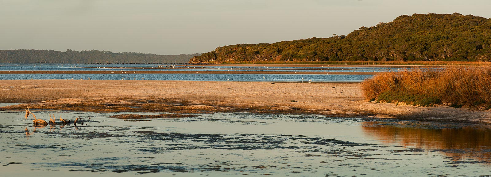 Estuary, Denmark, Western Australia, panorama