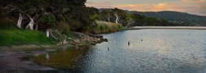 Estuary, Denmark, Western Australia, panorama