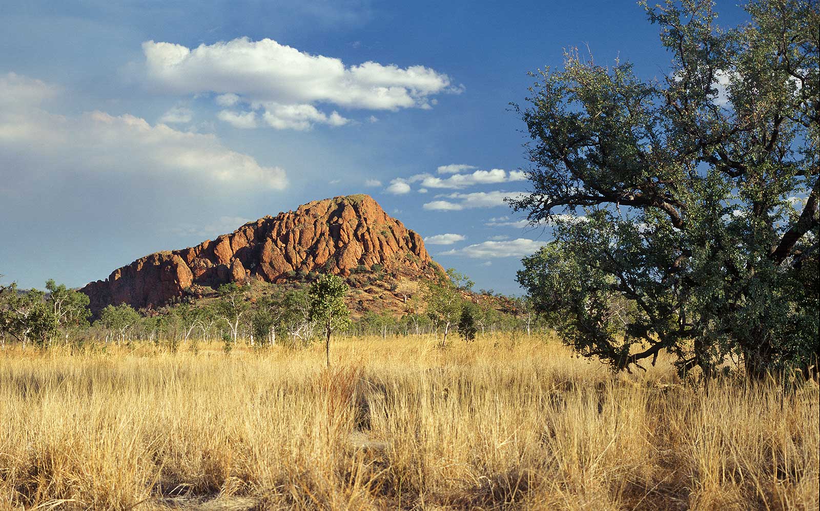 Kimberley, Gibb River Road, Western Australia