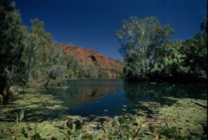 Lawn Hill National Park, Queensland, Australia