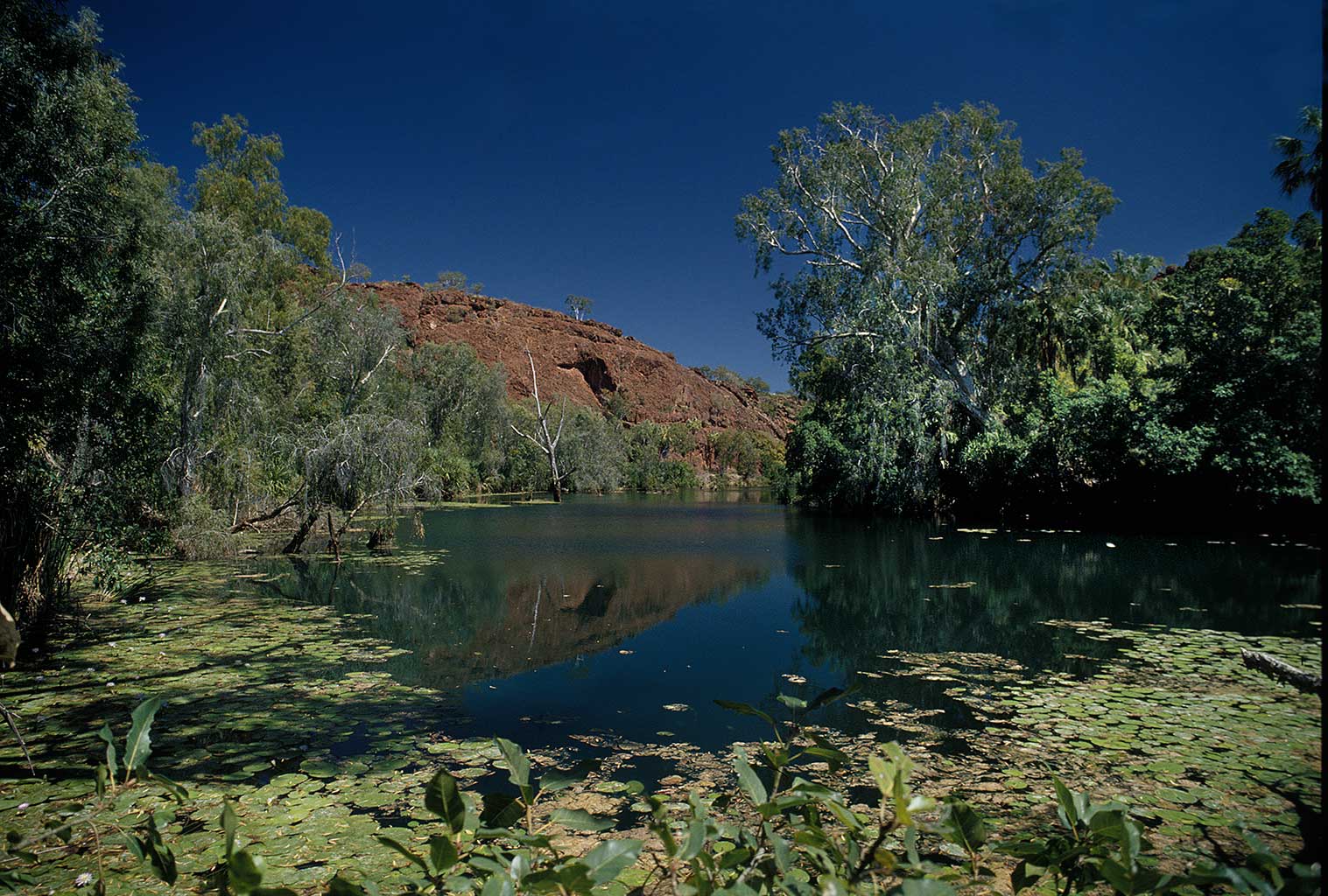 Lawn Hill National Park, Queensland, Australia