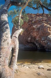 MacDonnell-Ranges, Northern Territory, Australia