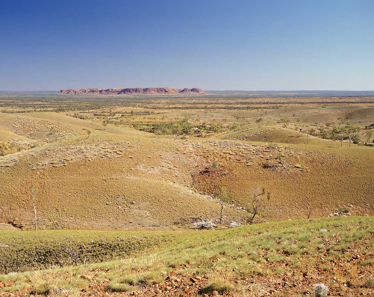 MacDonnell Ranges West_Central-Australia-(LSL1998_MF_Central01_-13)