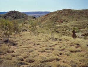 Entrance to Purnululu National Park, Kimberley, Western Australia