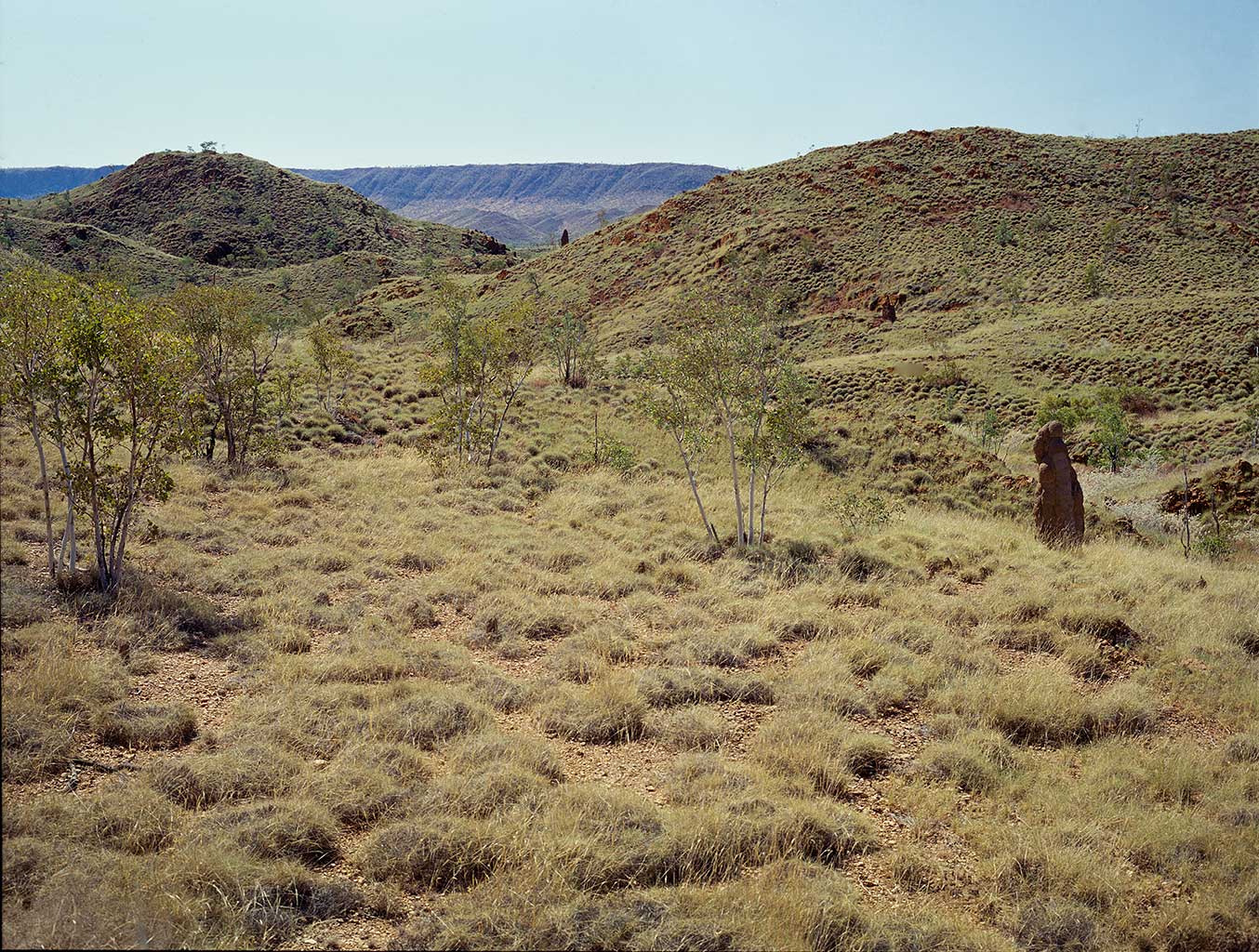 Entrance to Purnululu National Park, Kimberley, Western Australia