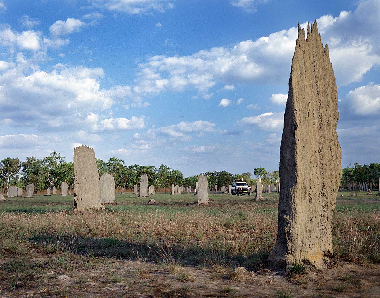 Termite Nests, Northern Territory, Australia, magnetic