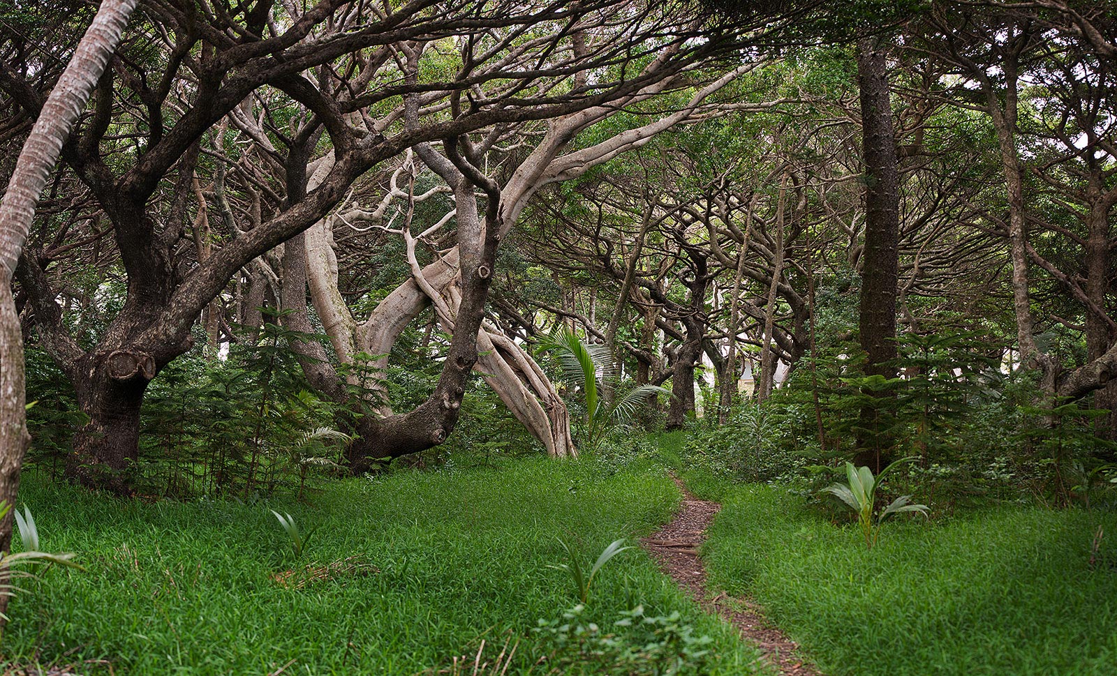 New Caledonia – Paul Rigby Photography