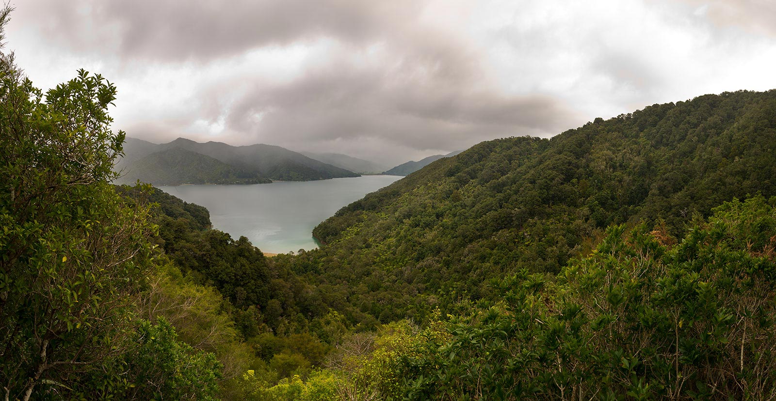 Picton, New Zealand, panorama