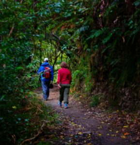 Picton, New Zealand, treking