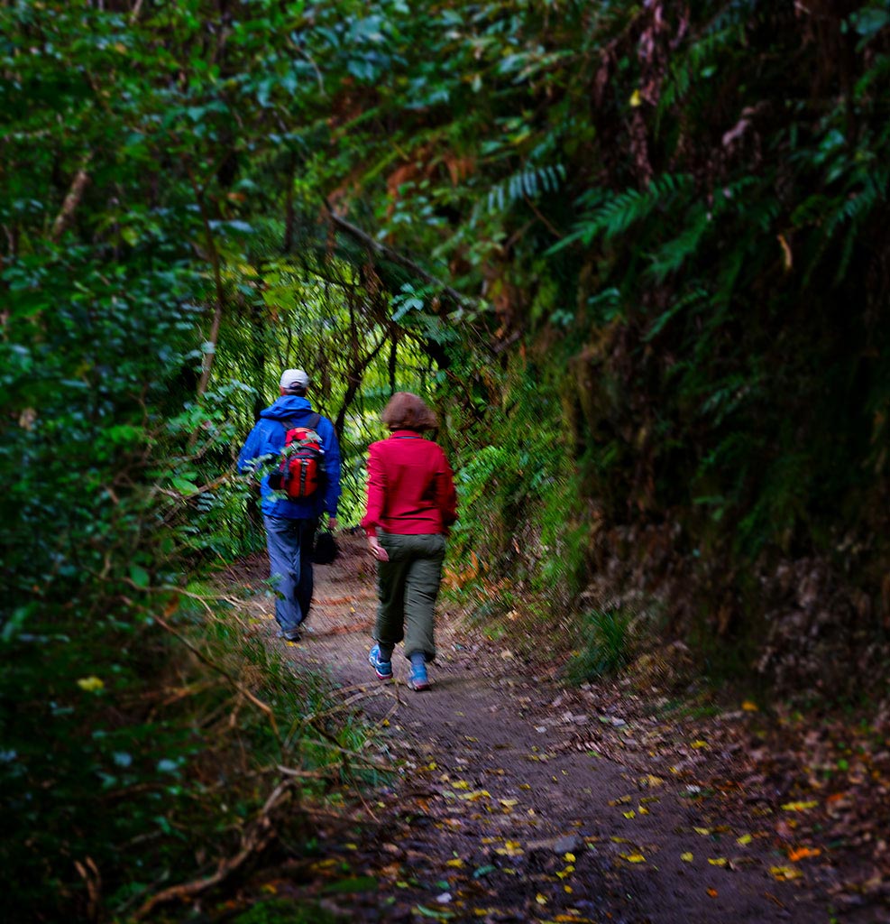 Picton, New Zealand, treking