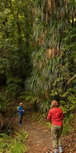 Picton, New Zealand, treking