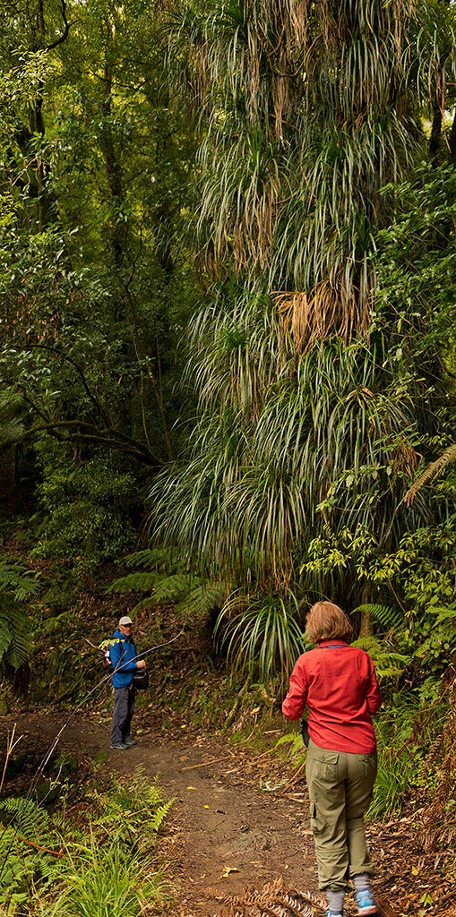 Picton, New Zealand, treking