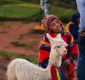 Sacred Valley, Peru, mountains, Inca building, Llama, boy