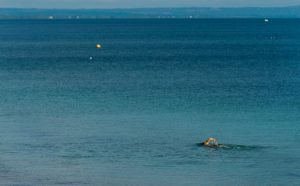 Geographe Bay, Busselton, early morning swim, Western Australia